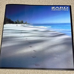 ZARD 　ARTIST FILEの画像