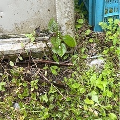 タクボ物置き
の画像