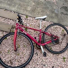 販売中九十九サイクル Kalavinka カラビンカNJS 競輪ピスト