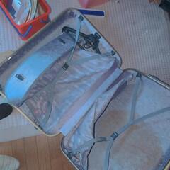 大きなトランクケースの画像