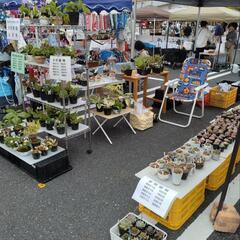 一里山公園春のガーデンマーケット　出店します　ネオゲです