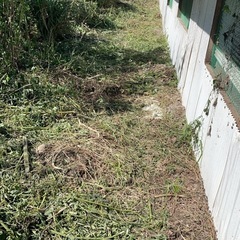 お庭の草刈り、剪定、網戸の張り替え