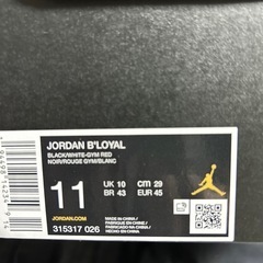 新品‼️NIKEジョーダン、ブロイアル11インチの画像