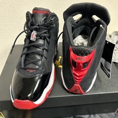 新品‼️NIKEジョーダン、ブロイアル11インチの画像