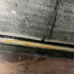 60cm水槽の画像