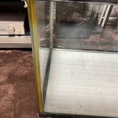 90cm水槽の画像