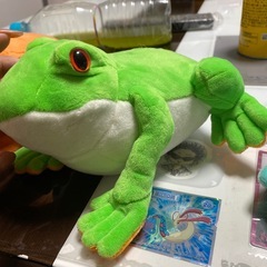 カエル　4匹の画像