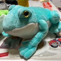 カエル　4匹の画像