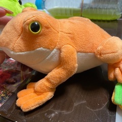 カエル　4匹の画像