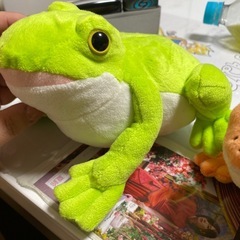 カエル　4匹の画像