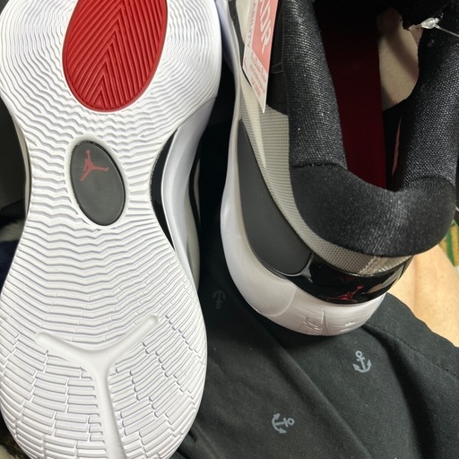 新品‼️NIKEジョーダンズームセパレートPF‼️サイズ10‼️