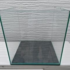 中古のオールガラス水槽(30cmキューブ)