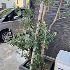 206 パナソニック新機種電動アシスト自転車viviDX city27インチ