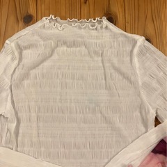 シースルー　インナーの画像