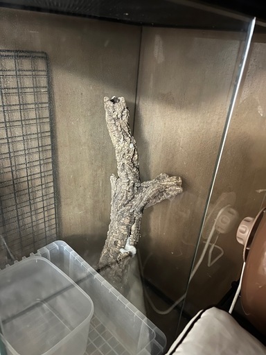 爬虫類ケージ、水槽
