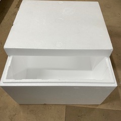 発泡スチロール　箱　保冷箱　クーラーボックス　トロ箱
