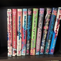 【決定済み】ドラゴンヘッド