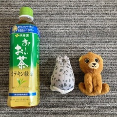 ty ★ ぬいぐるみセット　人気の画像