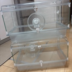 ハムスタークリアゲージ グラスハーモニー 二個セット