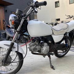 決まりました》チョッ早！ビッグテール付Dio ZX ベルトタイヤ