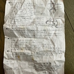 カジタックス10本爪アイゼンの画像