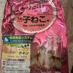 ピュリナワン 1歳までの子猫用キャットフード2kg
