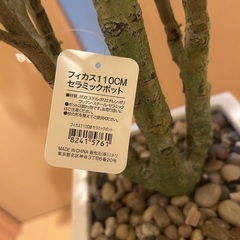 ニトリ購入　フェイクグリーン（ベンジャミン）高さ110cm 美品の画像