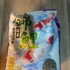 売約済　錦鯉　錦鯉用浮餌　約 ４ｋｇ