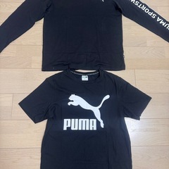 プーマTシャツまとめて安い