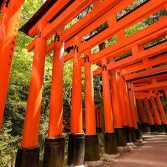 京都　日帰りの旅！⎛˶'ᵕ'˶ ⎞