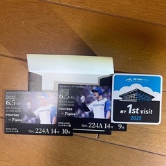 ファイターズ観戦チケット