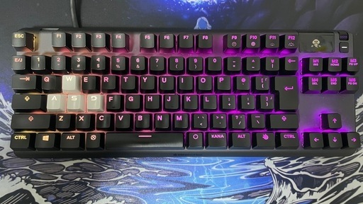 【全国配送可 手渡し歓迎　値引き可】APEX PRO TKL ラピッドトリガー　ゲーミングキーボード　 分解清掃済み