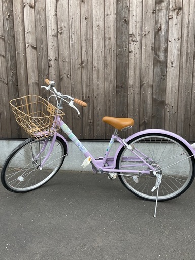 ブリヂストン BRIDGESTONE 子ども用自転車 エコパルモカ 24型
