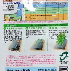 ～4/22まで受け付け）１６株　バイカラースイートコーン苗　カクテル84EX　タキイの画像
