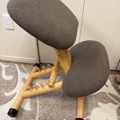 バランスチェア
の画像