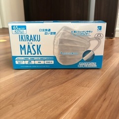 【最終・新品未開封品】マスク 65枚入×2箱の画像