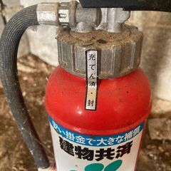 消化器　大小　セットの画像