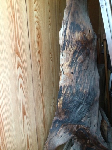 流木　　置き物