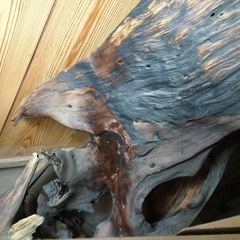 流木　　置き物の画像