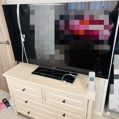 テレビ

