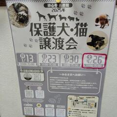 保護犬·猫　譲渡会のご案内