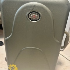 キャリーバック