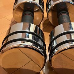 Northdeer ダンベル　10kg 2個セット　镜面の仕上げ クロームメッキ の画像