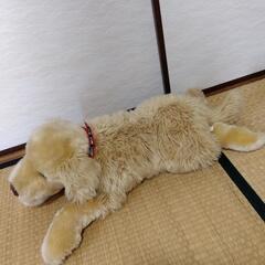 犬のぬいぐるみの画像