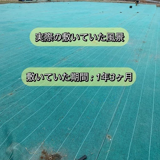 イノベックス 防草シート ダイオ畦クロス 緑色（グリーン） 幅200cm × 長さ約45m 10本 バラ売りも可 詳細を見てください