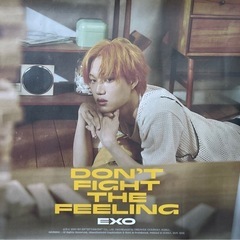 EXO カイ シウミンDFTF EXPANSION ver. ポ...