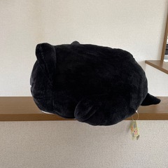 ねむネコ 4L とってもBIGハチワレぬいぐるみの画像