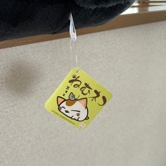 ねむネコ 4L とってもBIGハチワレぬいぐるみの画像