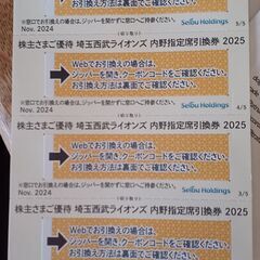 ライオンズチケット2025　パ・リーグ公式戦最終戦まで　内野指定...