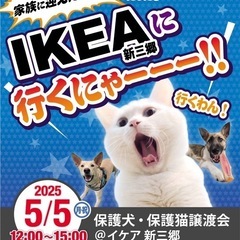 IKEA新三里　保護犬・保護猫譲渡会